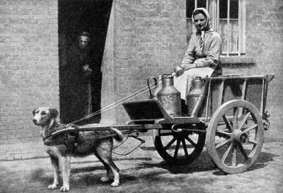 امرأة لبنانية بلجيكية في جولتها الصباحية ، بلجيكا ، 1922. بواسطة دونالد ماكليش