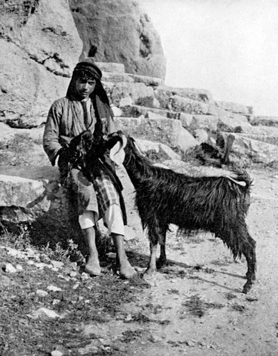 الفتى العربي والماعز ، الشرق الأوسط ، 1936. بواسطة دونالد ماكليش