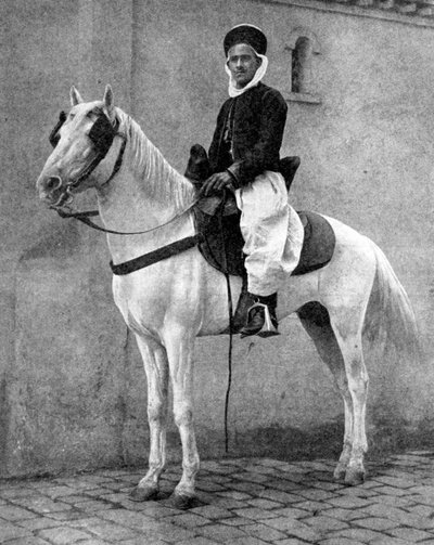 فارس بربري في الجيش الفرنسي ، 1936. بواسطة دونالد ماكليش