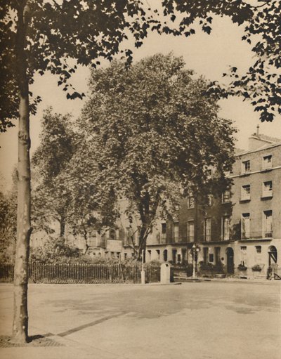 في Boarding-House Land: The Plane Trees of Torrington Square ، c1935. بواسطة دونالد ماكليش