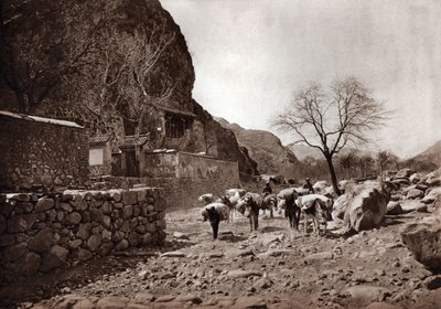  بواسطة دونالد ميني
