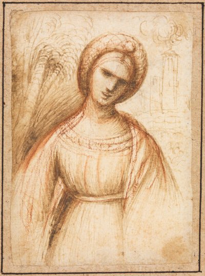 سيدة في مستطيل أفقي ، ملف شخصي بطول صدر لامرأة مسنة ، ج. 1521. بواسطة دوسو دوسي