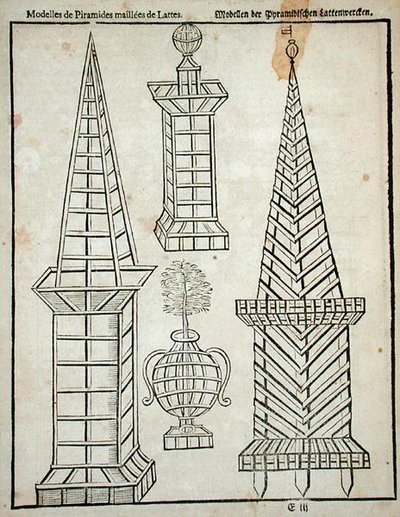 أهرامات شبكية ، من "البستاني الهولندي" بقلم يوهان فان دير جروين ، نُشرت عام 1699 (نقش) بواسطة المدرسة الهولندية