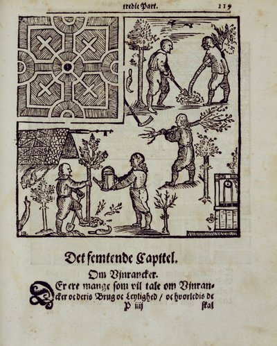 زراعة الأشجار ، من The Garden Gardener بقلم Johann van der Groen ، تم نشره عام 1699 بواسطة المدرسة الهولندية