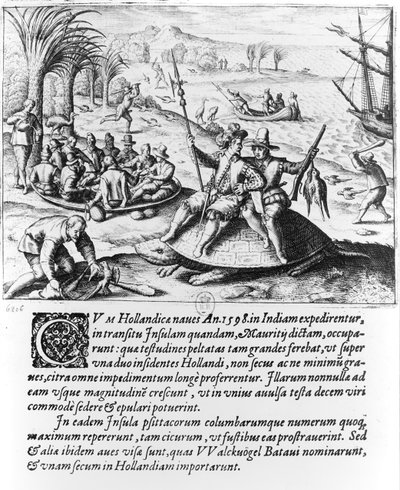 الهولنديون في موريشيوس عام 1598 ، نقش دي بري بواسطة المدرسة الهولندية