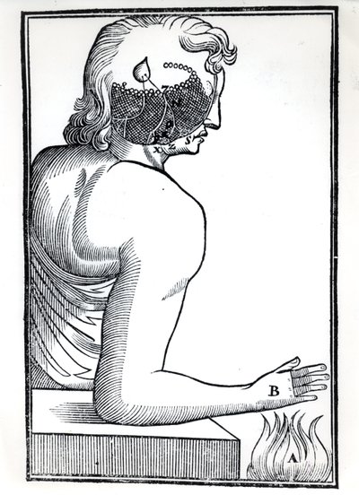 تصور الحواس ، من De Homine Figuris بقلم رينيه ديكارت (1596-1650) المنشور في أمستردام ، 1677 بواسطة المدرسة الهولندية