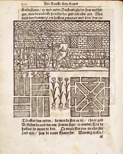 تدريب وزراعة في الحديقة ، من The Garden Gardener ، بقلم يوهان فان دير جرون ، نشر 1699 بواسطة المدرسة الهولندية