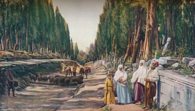 القسطنطينية ، 1930s بواسطة ENA