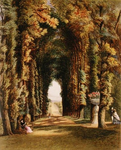 'Vista' in the Gardens at Teddesley ، من 'The Gardens of England' ، تم نشره عام 1857 (litho litho) بواسطة إ. أدفينو بروك