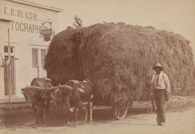 طبعة زاهية لرجل بعربة تبن ممتلئة ، 1894-1904. بواسطة أحمر الخدود EK