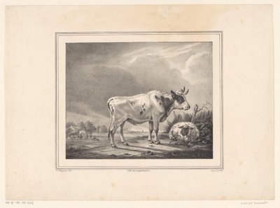 البقرة والأغنام واقفة في منظر طبيعي بواسطة EL Huygens (ربما)