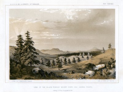 الغابة السوداء ماونت هوب وسييرا برييتا ، الولايات المتحدة الأمريكية ، 1856. بواسطة البريد شجاع