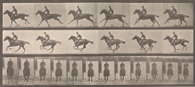 [حصان وراكب يركض] ، 1883-1886 ، طبعت عام 1887. بواسطة ايدويرد مويبريدج