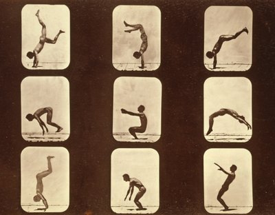 الرياضيين. سلسلة Flip Flap 'Animal Locomotion' ، حوالي 1881 (صورة بالأبيض والأسود) بواسطة ايدويرد مويبريدج