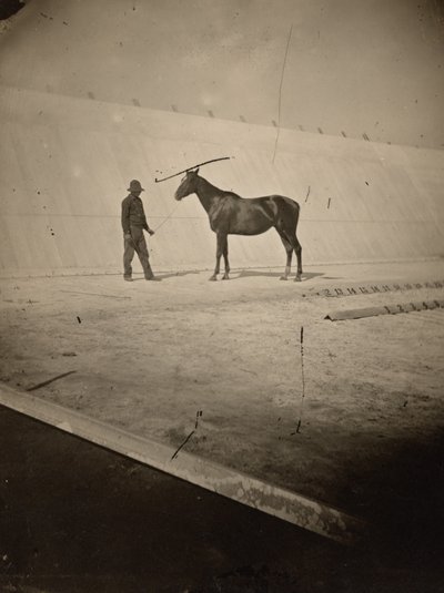 تفاصيل المضمار في مزرعة ليلاند ستانفورد للخيول في بالو ألتو، 1878-1879 (صورة) بواسطة ايدويرد مويبريدج
