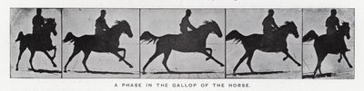 Eadweard Muybridge: مرحلة في عدو الحصان (صورة بالأبيض والأسود) بواسطة ايدويرد مويبريدج