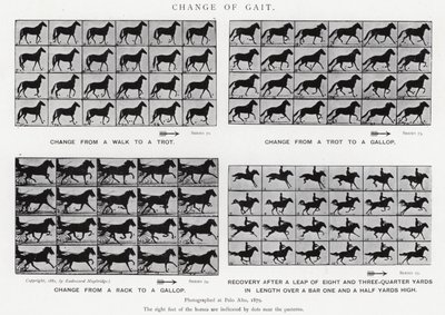 Eadweard Muybridge: تغيير المشية (b / w photo) بواسطة ايدويرد مويبريدج