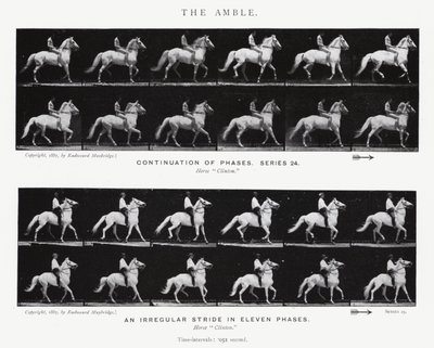 Eadweard Muybridge: The Amble (صورة بالأبيض والأسود) بواسطة ايدويرد مويبريدج