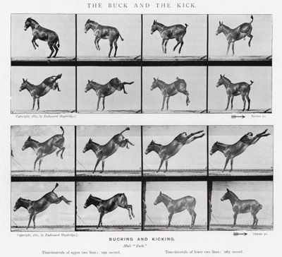 Eadweard Muybridge: The Buck and the Kick (b/w photo) بواسطة ايدويرد مويبريدج