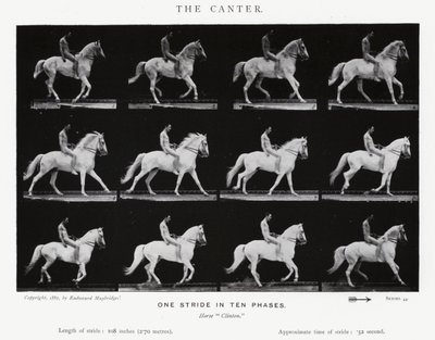Eadweard Muybridge: The Canter (صورة b / w) بواسطة ايدويرد مويبريدج