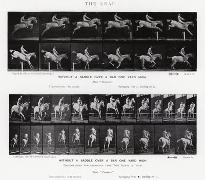 Eadweard Muybridge: The Leap (b/w photo) بواسطة ايدويرد مويبريدج