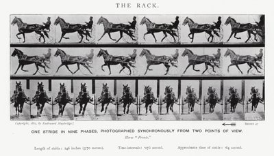 Eadweard Muybridge: The Rack (صورة b / w) بواسطة ايدويرد مويبريدج