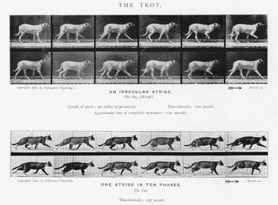 Eadweard Muybridge: The Trot (صورة b / w) بواسطة ايدويرد مويبريدج