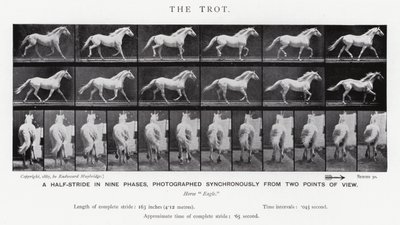 Eadweard Muybridge: The Trot (صورة b / w) بواسطة ايدويرد مويبريدج