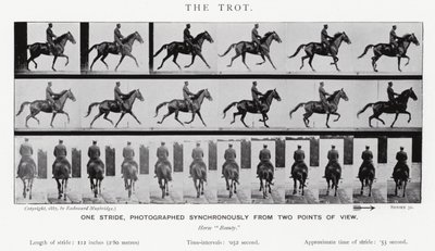 Eadweard Muybridge: The Trot (صورة b / w) بواسطة ايدويرد مويبريدج