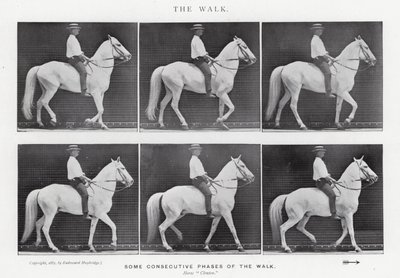 Eadweard Muybridge: The Walk (b/w photo) بواسطة ايدويرد مويبريدج