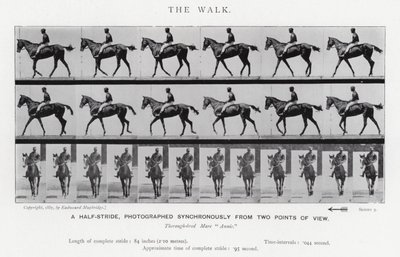 Eadweard Muybridge: The Walk (b/w photo) بواسطة ايدويرد مويبريدج