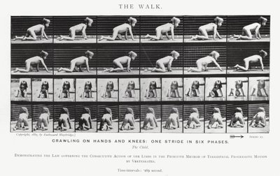 Eadweard Muybridge: The Walk (b/w photo) بواسطة ايدويرد مويبريدج