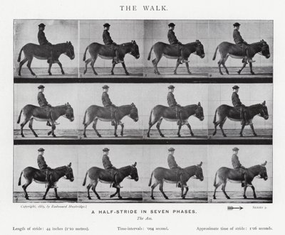 Eadweard Muybridge: The Walk (صورة b / w) بواسطة ايدويرد مويبريدج