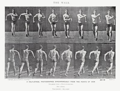 Eadweard Muybridge: The Walk (صورة b / w) بواسطة ايدويرد مويبريدج
