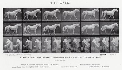 Eadweard Muybridge: The Walk (صورة b / w) بواسطة ايدويرد مويبريدج