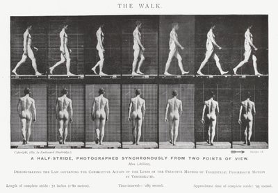 Eadweard Muybridge: The Walk (صورة b / w) بواسطة ايدويرد مويبريدج