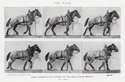 Eadweard Muybridge: The Walk (صورة b / w) بواسطة ايدويرد مويبريدج