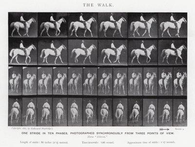 Eadweard Muybridge: The Walk (صورة b / w) بواسطة ايدويرد مويبريدج