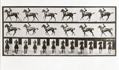 الحصان والفارس ، اللوحة 621 من تحريك الحيوانات ، 1887 بواسطة ايدويرد مويبريدج