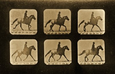 خيل. غير منتظمة ، سلسلة "تحريك الحيوانات" ، ج 1881 بواسطة ايدويرد مويبريدج