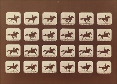 خيل. جري. Phyrne L. رقم 40 بواسطة ايدويرد مويبريدج