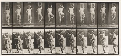 Plate 111. Ascending Ladder بواسطة ايدويرد مويبريدج