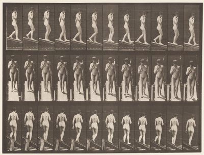 Plate 116. Descending Incline, One Hand On Chin بواسطة ايدويرد مويبريدج