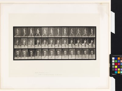 Plate 11.Walking بواسطة ايدويرد مويبريدج