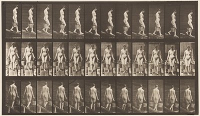 Plate 121. Descending Incline, Bucket of Water in Each Hand بواسطة ايدويرد مويبريدج