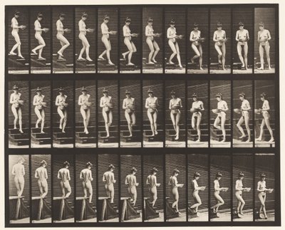 Plate 144. Descending Stairs; Turning Basin in Hands بواسطة ايدويرد مويبريدج