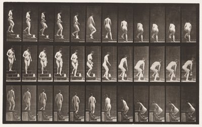 صفيحة 149. الدرج النازل ؛ الانحناء لرفع إبريق 1872-1885 بواسطة ايدويرد مويبريدج