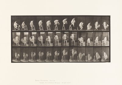 صحن 172. يخطو على الركائز ؛ القفز لأسفل ، تحول ، 1885 بواسطة ايدويرد مويبريدج