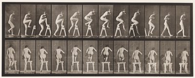 Plate 178. Stepping On and Over a Trestle بواسطة ايدويرد مويبريدج