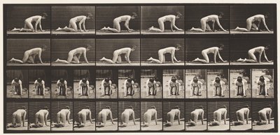 Plate 182. Crawling On Hands and Knees بواسطة ايدويرد مويبريدج
